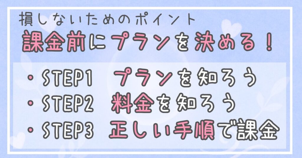 損しないためのポイントは、課金前にプランを決めること。ステップ1はプランを知る、ステップ2は料金を知る、ステップ3は正しい手順で課金する。